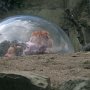 1. Drusillas - Kathy and Jo